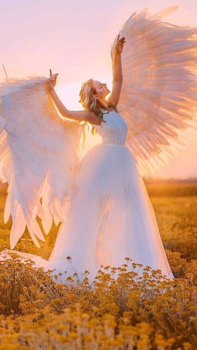 Namiye14's tweet photo. :¨·.·¨:🦋 💯➡️ifb
`·.🌺🏵️🦋💯 ➡️sdv
¸.•´🦋💯 ➡️gt
(¸.•🌻💘 @Namiye14 💘
#TeamKingFollow
#TimSofia https://t.co/r7ZXm8uo42
