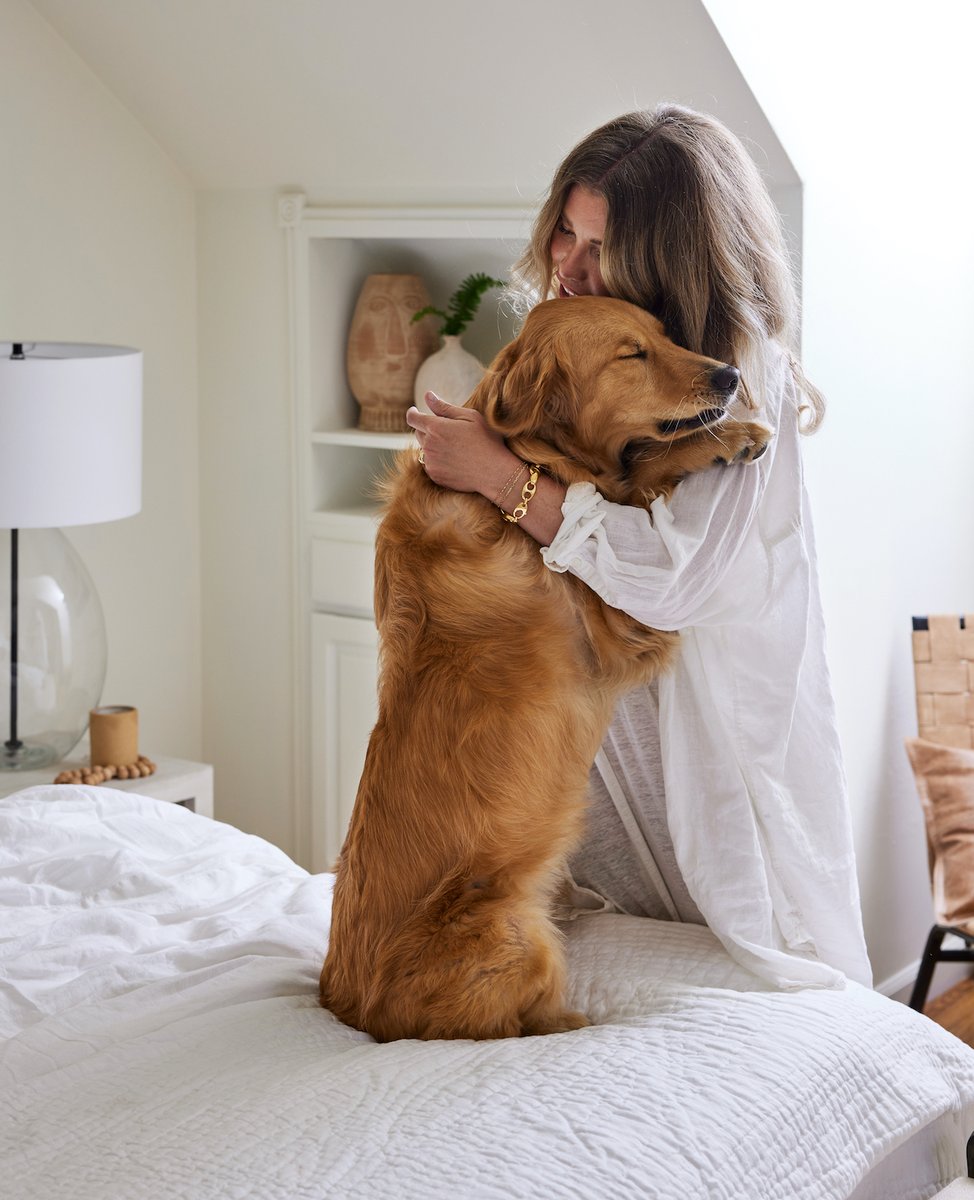 potterybarn's tweet photo. Home just isn’t complete without a four-legged friend 🐶 Happy #NationalDogDay to you and yours 🐾

P.S. Show us your pets! Tag #mypotterybarn and #pbpet for a chance to be featured in our feed. https://t.co/26O9FDlO29