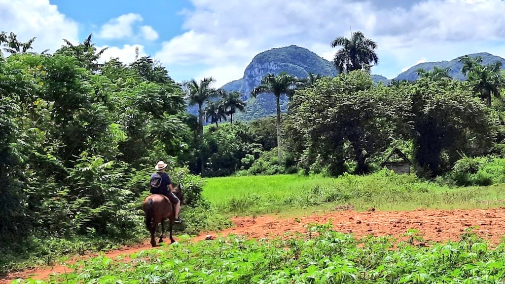 ferranfonseca's tweet photo. Cuba - Valle de Viñales https://t.co/u2uybZRJQQ