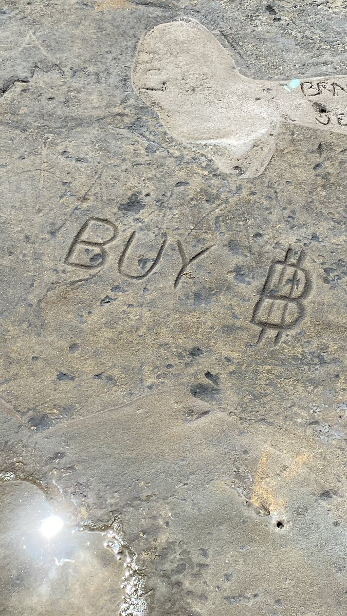 OnceUponAnAda tweet media