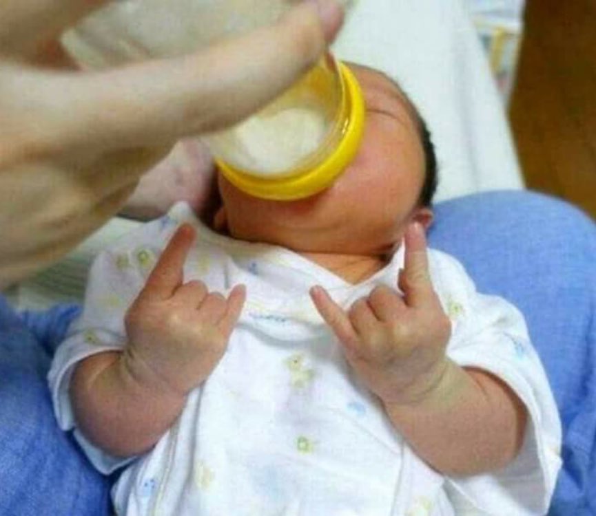 ocaelx's tweet photo. esse têtê ta irado meu mano https://t.co/l80GQZSqum