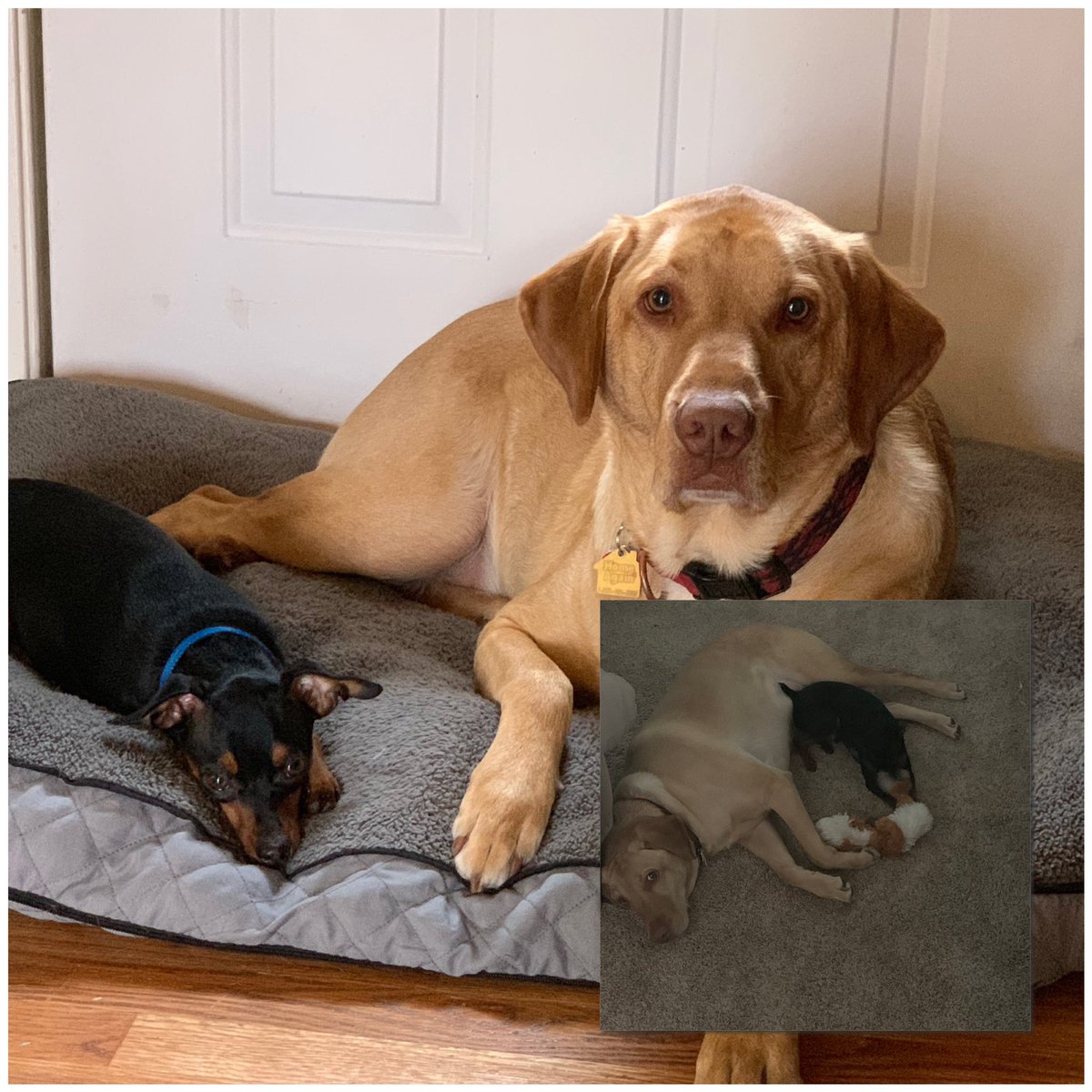 James Kelly tweet media