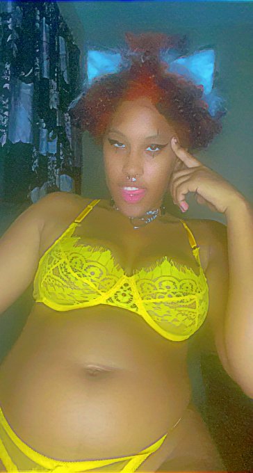 #NationalDogDay https://t.co/MGaepWX1WB<a href="/tag/nationaldogday"class="tags">#NationalDogDay</a>