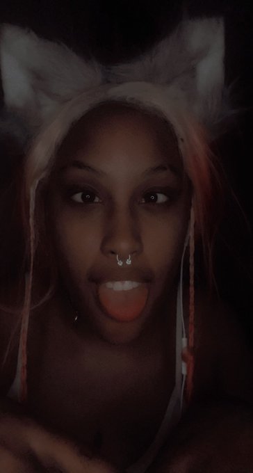 #NationalDogDay https://t.co/MGaepWX1WB<a href="/tag/nationaldogday"class="tags">#NationalDogDay</a>