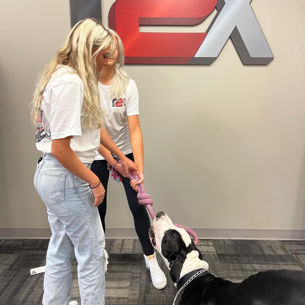 Happy National Dog Day!! 🐶🐾🦴

#Ready2Xecute #R2X #logistics #supplychain #naptown #indy #FRANK #nationaldogday