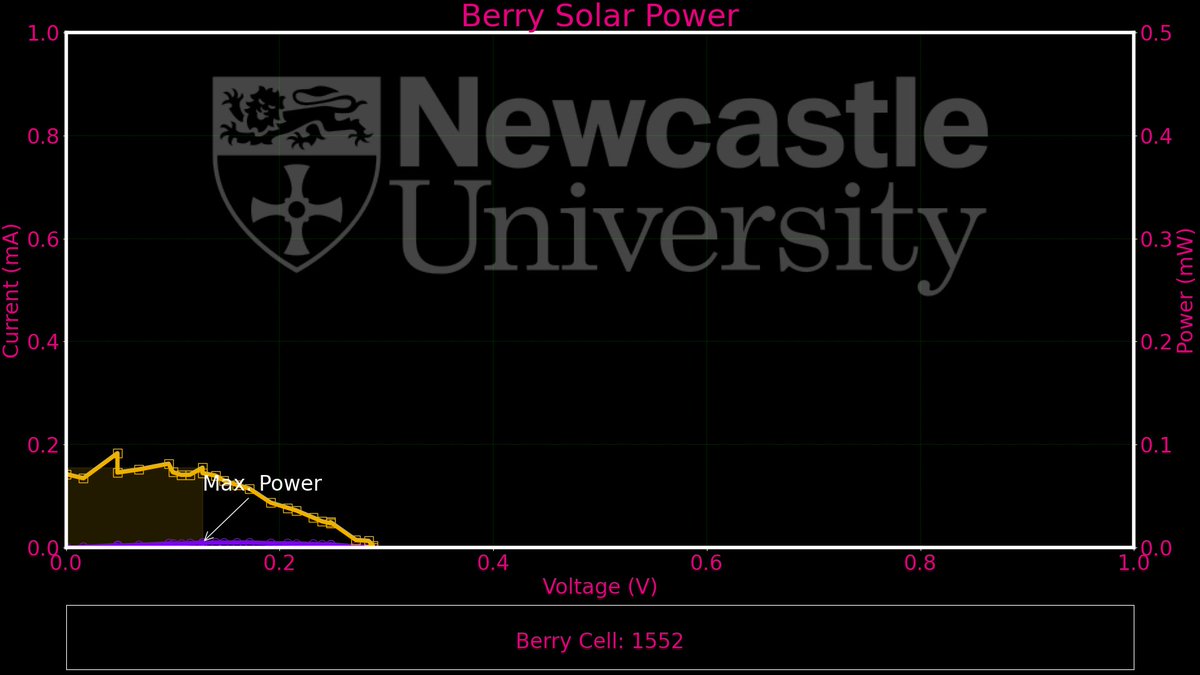 Berry Solar Cells for Berry Future tweet media