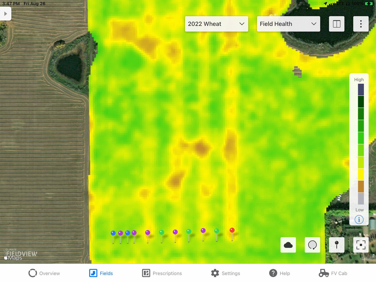 robmakowsky's tweet photo. Super excited to see the harvest results on this wheat fungicide trial captured in FieldView. Had the chance to ground truth the satellite imagery this week and lines right up with what we see on the ground. Red region is untreated! #ItPaysToSpray
@FieldViewCanada @Bayer4CropsCA https://t.co/QM35J9NE9h