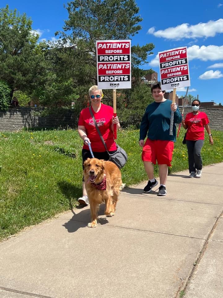 mnnurses's tweet photo. Happy #NationalDogDay! Meet some of the pups who have joined us to stand up for fair contracts and patient safety this year. 

#InternationalDogDay #DogDay #UnionDogs #UnionStrong #PatientsBeforeProfits https://t.co/WI5RuNbgTf