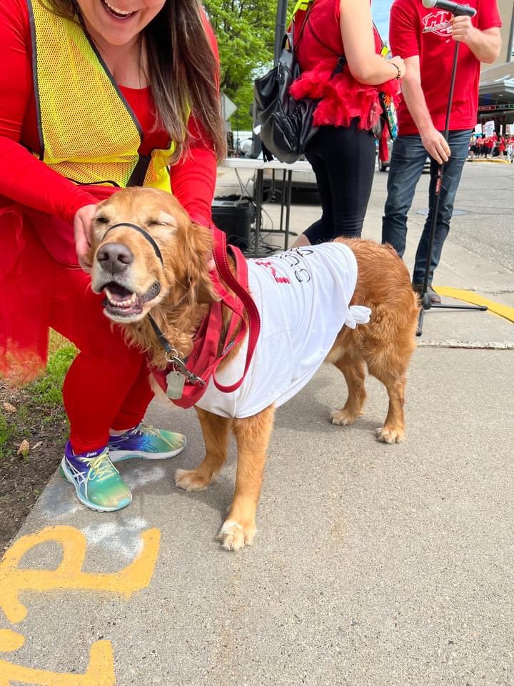 mnnurses's tweet photo. Happy #NationalDogDay! Meet some of the pups who have joined us to stand up for fair contracts and patient safety this year. 

#InternationalDogDay #DogDay #UnionDogs #UnionStrong #PatientsBeforeProfits https://t.co/WI5RuNbgTf