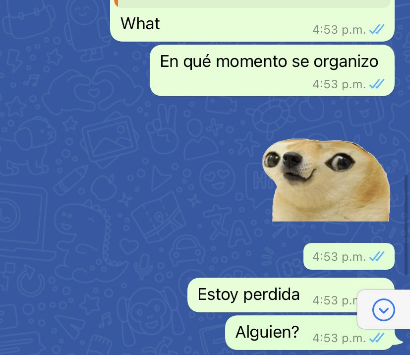 cemedin_'s tweet photo. Yo en todos mis grupos de amigas https://t.co/qRoveiJ29U
