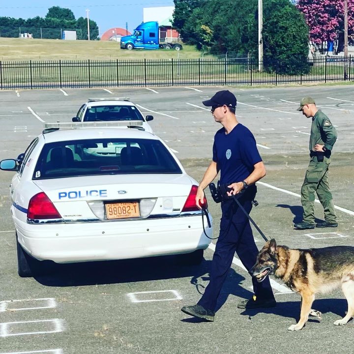 cityofwspolice's tweet image. Happy #nationaldogday We love our #K9partners! Here are a couple members of our four-legged team!! #cityofwspolice