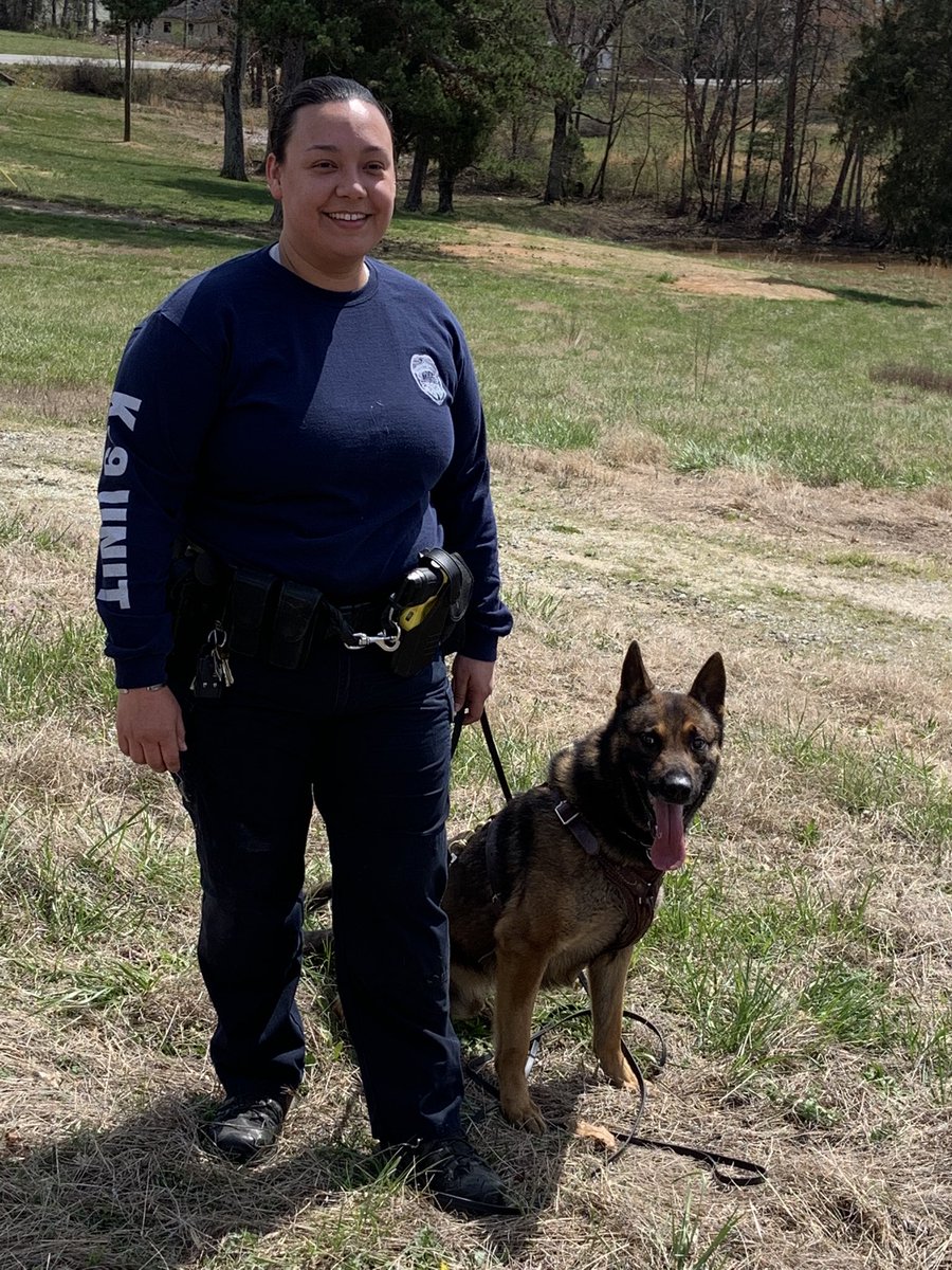 cityofwspolice's tweet image. Happy #nationaldogday We love our #K9partners! Here are a couple members of our four-legged team!! #cityofwspolice