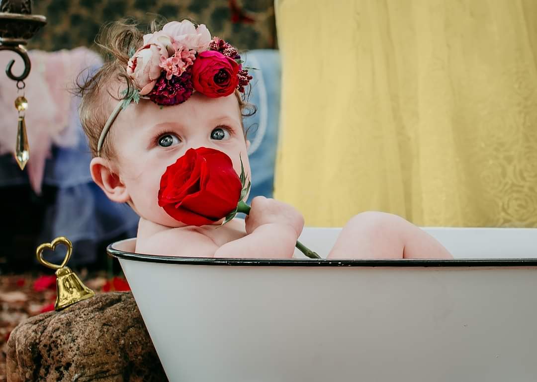 marrisu's tweet photo. Mini Beauty and the Beast 💕 🌹
#nikond750 #sigma35 #photography #fairytale #PhotoOfTheDay https://t.co/UiygNjSDiz