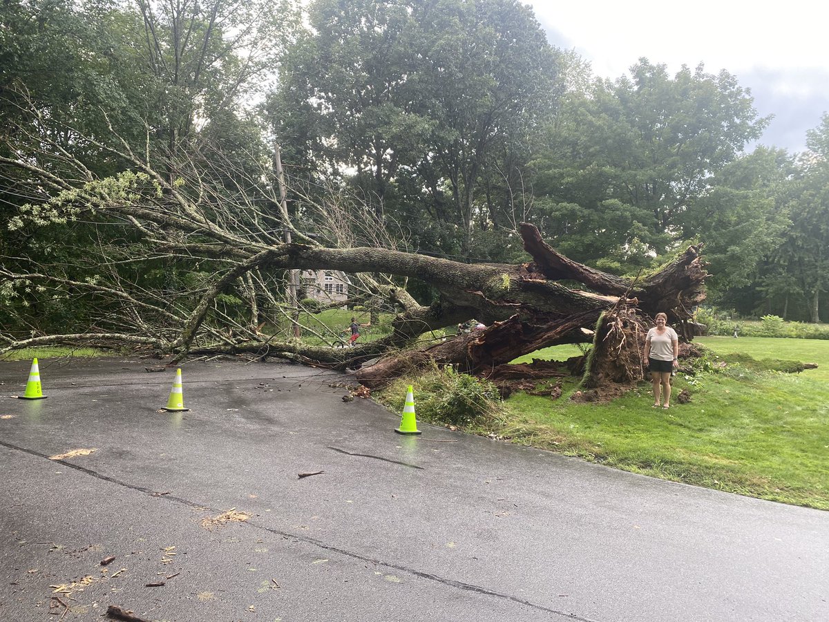 BethJohnson91's tweet photo. @WCVB tree down in Leicester. Had my friend @kemps62 get in the second pic for scale! https://t.co/Iu53Z1U2Xv