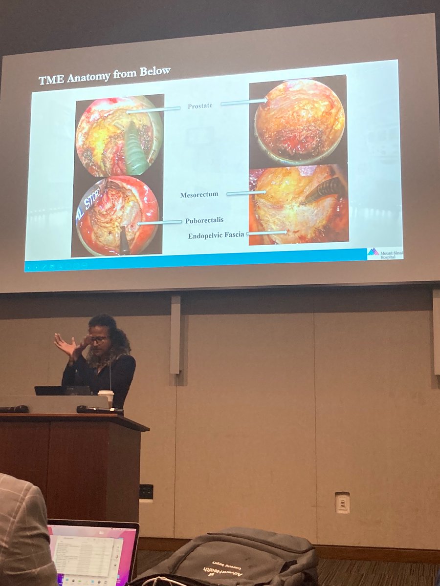 Lindsay Sceats tweet media