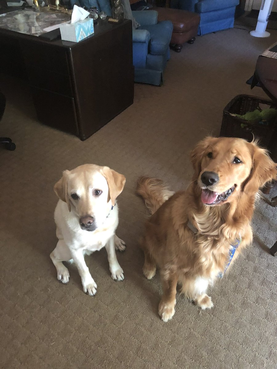 TheMerkie's tweet photo. @TheGoldenRatio4 All positive vibes for the Remi ❤️ https://t.co/BlThngzSao
