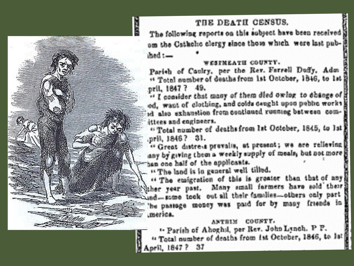 IrishNewspapers's tweet photo. Read here about the 'Death Census' of 1847 published by the Freeman's Journal. See here info from the parish of #Caulry #Westmeath
https://t.co/DRl58NQfT3
#GreatFamine #Black47 https://t.co/qh2FubZHTG