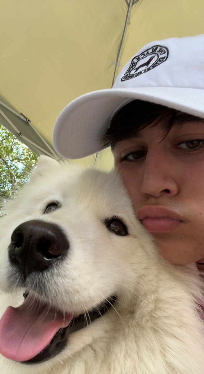 lyingsinners's tweet photo. me and my dog are begging for a #PLLOriginalSin2 #PLLOriginalSin #nationaldogday2022 #pllos #plloschat pretty please hbo max🫶🏻 https://t.co/exK5lkkRai