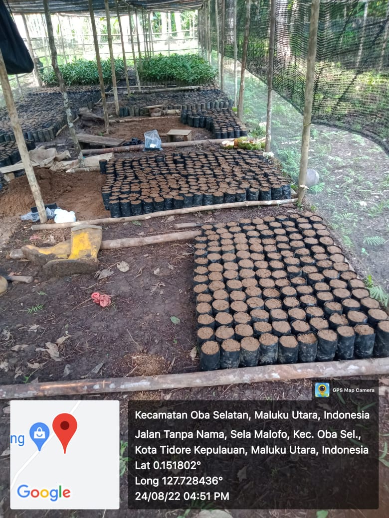 AkeMalamo's tweet photo. Halo Sobat Hijau.
inilah Progres Kelompok Tani Hutan Raja Pece Desa Selamalofo kecamatan Oba Selatan Kabupaten Tidore Kepulauan dalam pengelolaan Kebun Bibit Rakyat (KBR). Kegiatan yang dilakukan KTH ini yaitu Pengisian Polybag dan Pembenahan Persemaian.
#kbr
#ditjenpdasrh
#klhk https://t.co/By6vJmgI2o