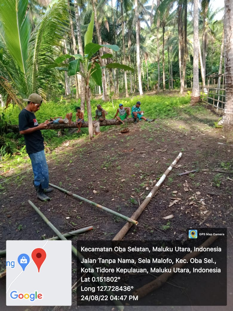 AkeMalamo's tweet photo. Halo Sobat Hijau.
inilah Progres Kelompok Tani Hutan Raja Pece Desa Selamalofo kecamatan Oba Selatan Kabupaten Tidore Kepulauan dalam pengelolaan Kebun Bibit Rakyat (KBR). Kegiatan yang dilakukan KTH ini yaitu Pengisian Polybag dan Pembenahan Persemaian.
#kbr
#ditjenpdasrh
#klhk https://t.co/By6vJmgI2o