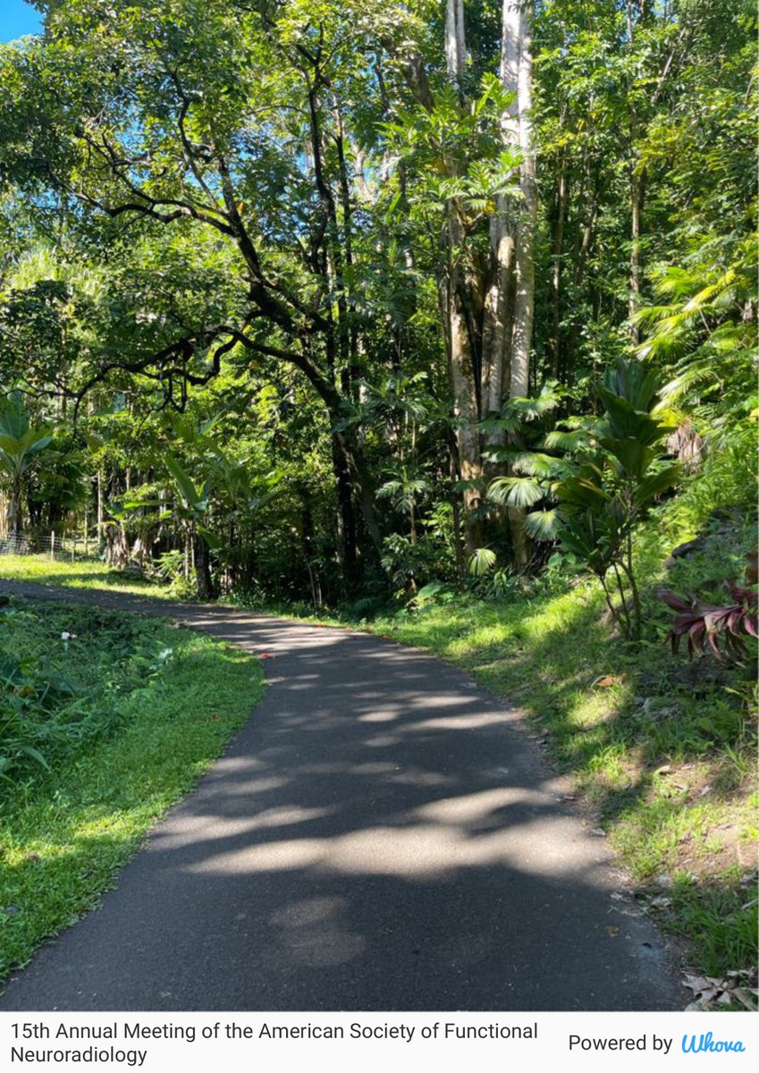 Sotirios Bisdas tweet media