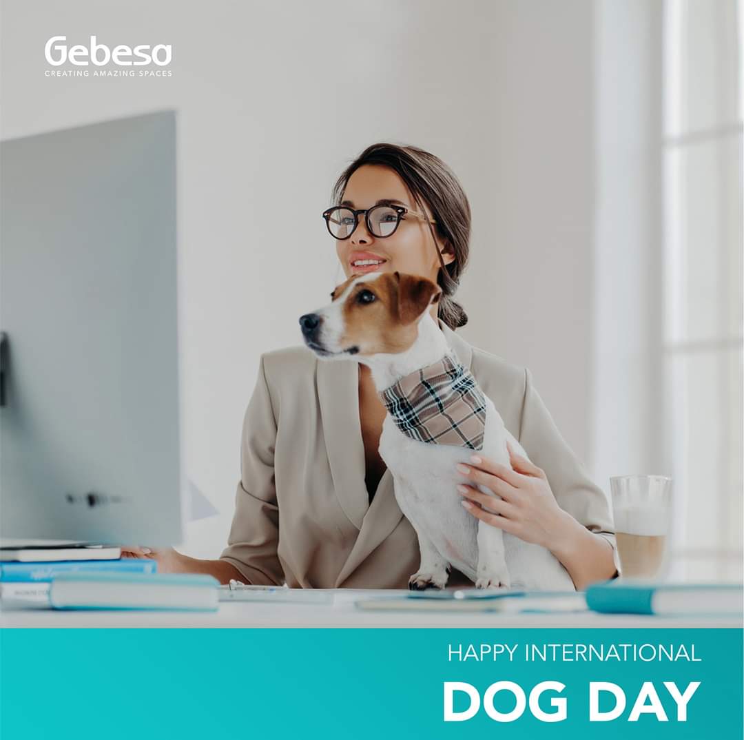 Happy International Dog day to those true dreamers, shoe eaters and mailman chasers

#DogDay