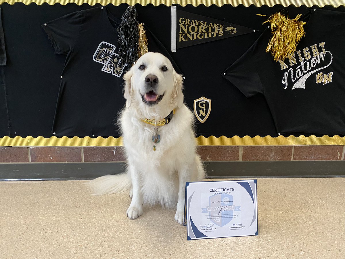 I’m thrilled to be celebrating the start of my 5th year as your therapy dog <a href="/GrayslakeNorth/">Knight Pride</a>! Thank you <a href="/Grayslake127/">Grayslake 127</a> 💛🖤