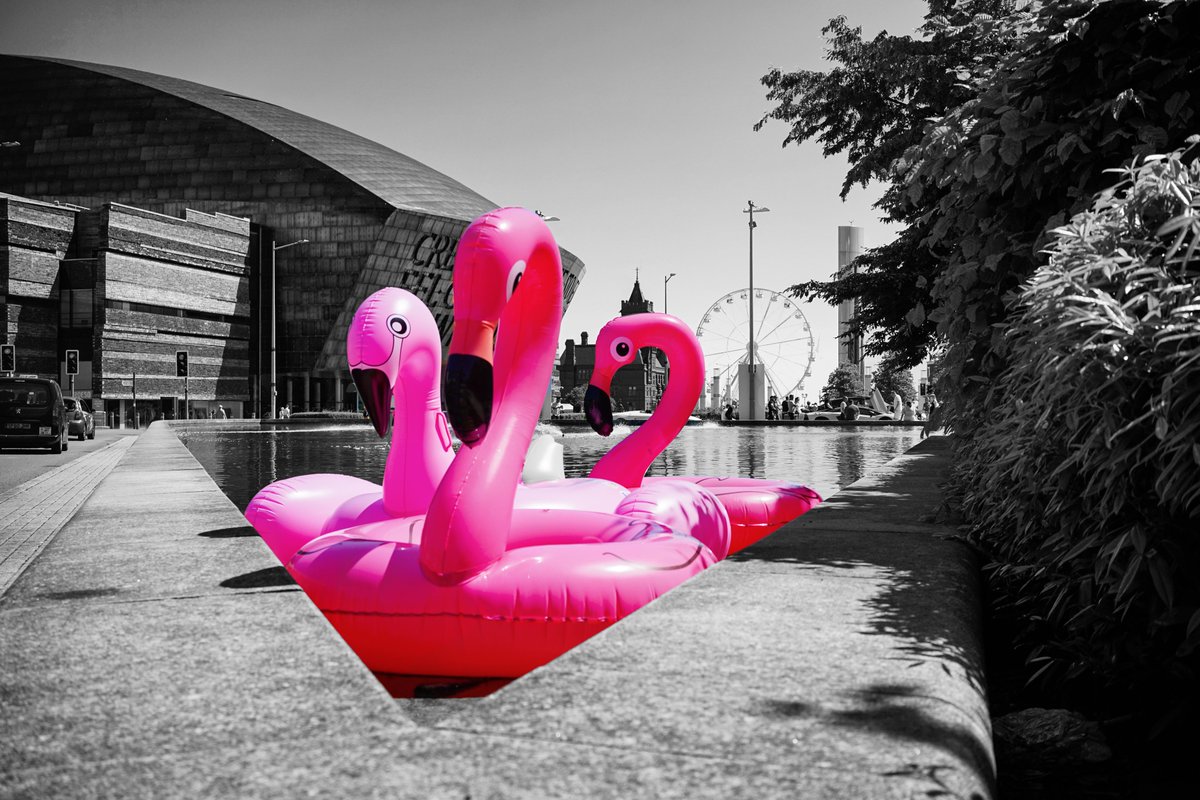 JayStarPhoto's tweet photo. Pink Flamingos in the Bay
.
.
.
.
#Monochrome #blackandwhitephotography #streetphotography #SonyAlpha #streetview #cardiffbay #photography #agameoftones #jj_blackwhite #visualmobs #sweetstreetbeat #alternative_bnw #bnw #bnw_life #mono_styles #bw_artistic #top_bnw #bnw_captures https://t.co/10IQhuUexF