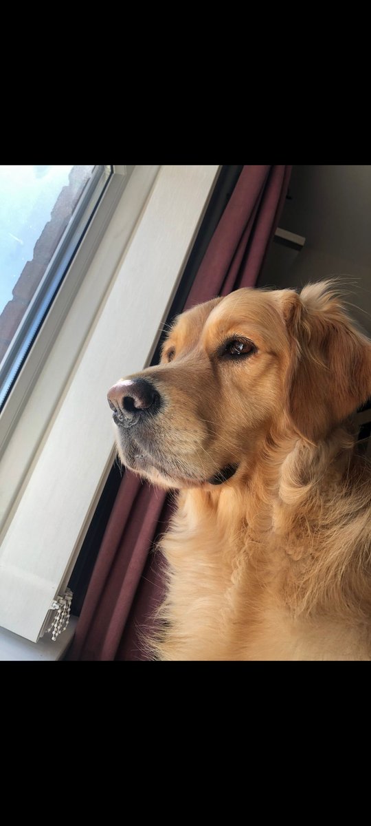 Laura Feeney tweet media