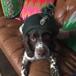 Photo by CaptMacMorris (@CaptMacMorris)