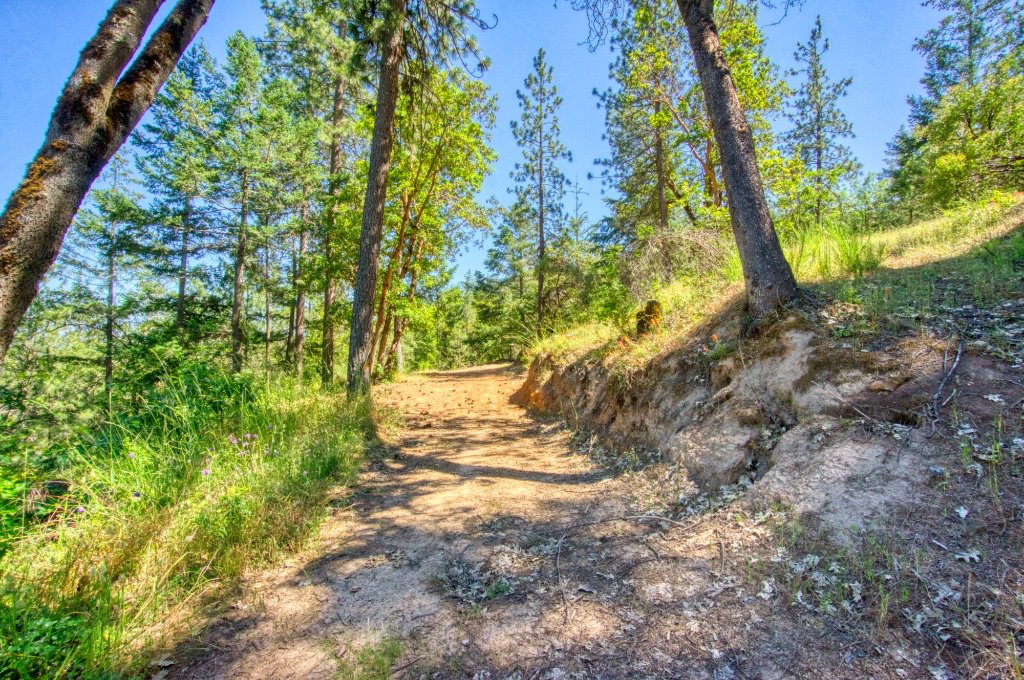 JohnTomelevage's tweet photo. Watch our new 2 minute video of this great hillside property with amazing views in southern Oregon.

https://t.co/74QOAOXKEw https://t.co/GCccgM1xXC