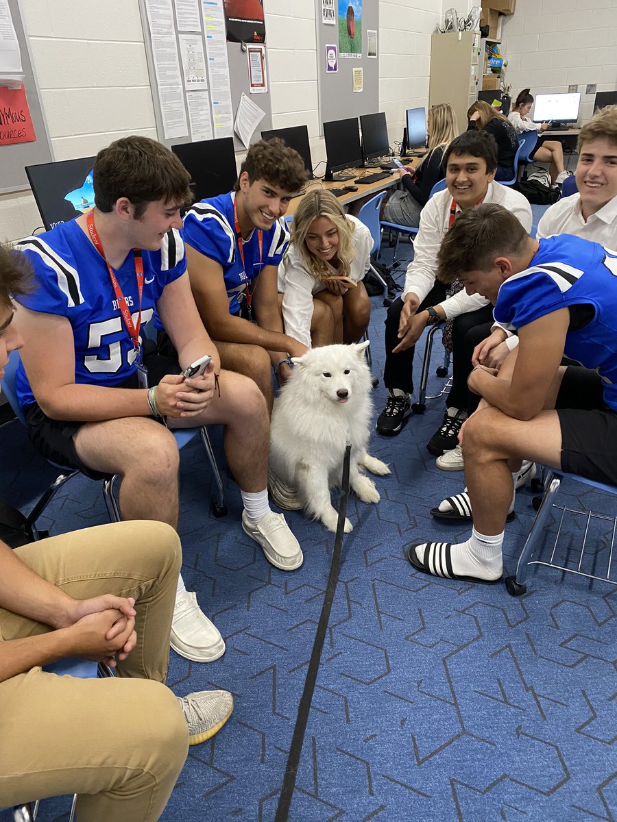 Mrs. Lungu tweet media