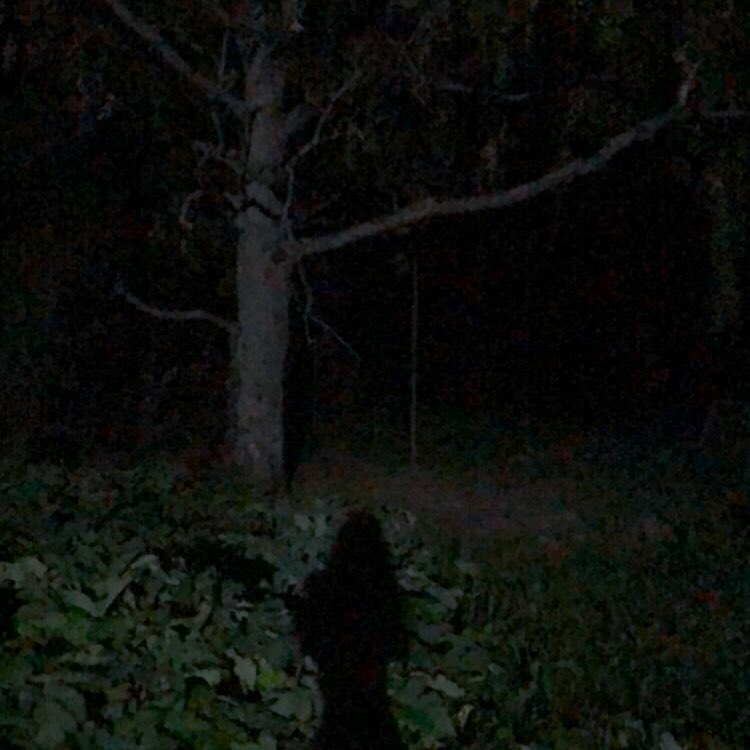 3goalien's tweet photo. Salutations 🎶 https://t.co/e18Y8QOfB0