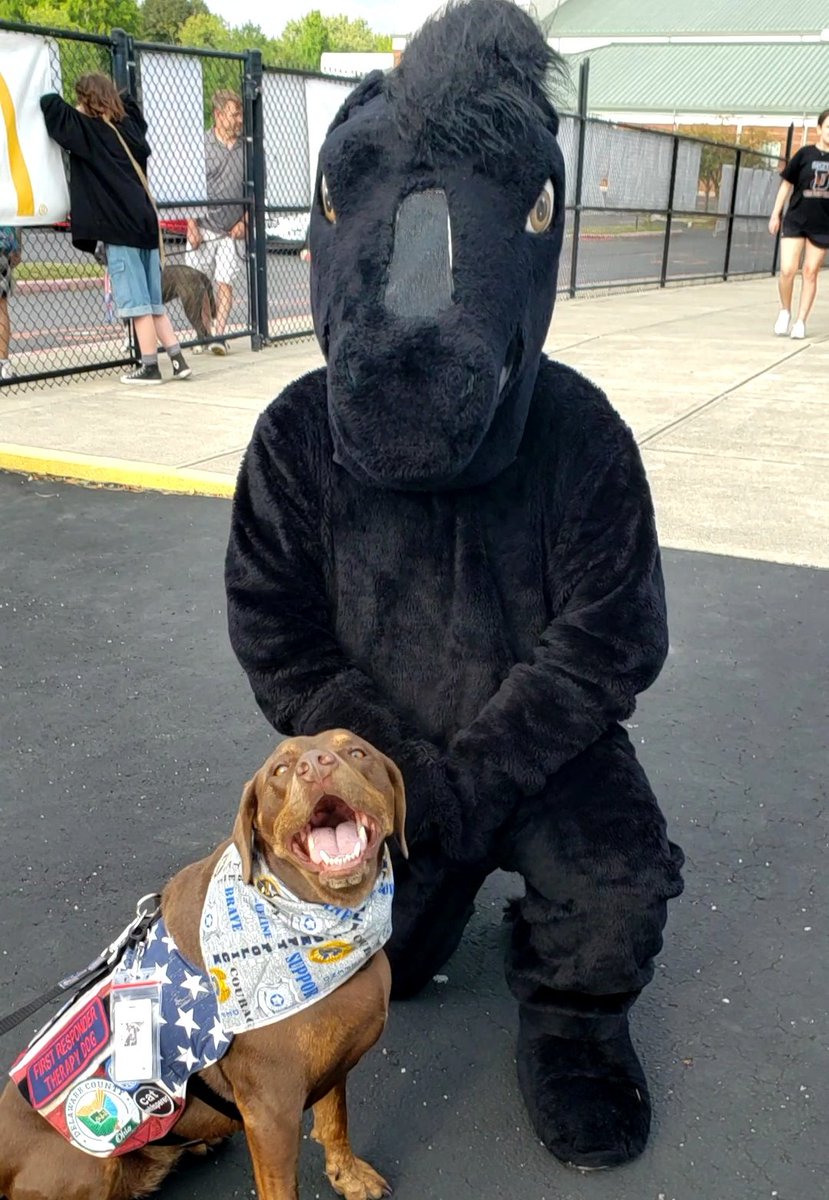 guesses wherez i am toonite? an if you herez come see me next to da consessionz standz..beecuz wherez else wud i be?
<a href="/DCS_Pacers/">DelawareCity Schools</a> <a href="/JGumbosDelaware/">J. Gumbo's Delaware</a> @ThisWeekNews <a href="/DelCoProud/">DelCoProud ☮️</a> <a href="/delawareohnews/">Delaware Ohio News</a> @DelawareOhioFD <a href="/DelCoEMA/">Delaware Co. Emergency Management</a> <a href="/DelawareCoOhio/">Delaware County, Ohio</a>