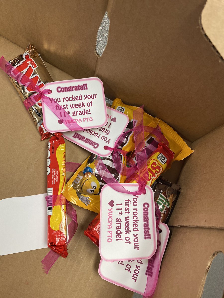 Nicholgo01's tweet photo. Shout out 📣 to our @YWCPAPTO‼️During lunch they brought sweet treats 🍭🍬🍫for our beautiful Roses.🌹 We can’t thank you all enough! 💕🫶🏽👏🏽 A great way to end the first week of school @YWCPAHISD.
#ExcellenceInFullBloom
#PTORocks https://t.co/C8MCUwZIWH