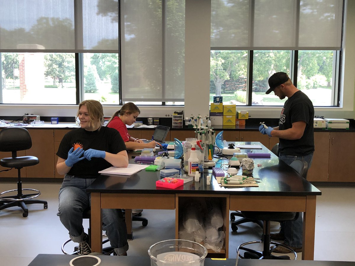 NWC_Biology (@biologynwc) on Twitter photo NWC SEA-GENES cohort 3 are well on their way to cloning their first set of Sbash genes! <a href="/nwciowa/">Northwestern College</a> #RaiderResearch #RaidersStandOut NWC SEA-GENES cohort 3 are well on their way to cloning their first set of Sbash genes! <a href="/nwciowa/">Northwestern College</a> #RaiderResearch #RaidersStandOut