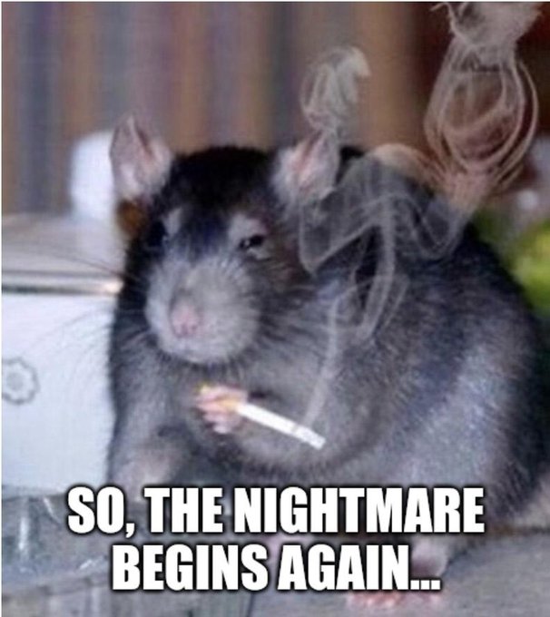 @stonedxgirl Con o sin amor, con o sin amigos, la vida sigue https://t.co/yG5DsJBV1D<a class="tags" target="_blank" title="On Twitter" href="/?out=eyJ0eXAiOiJKV1QiLCJhbGciOiJIUzUxMiJ9.eyJpYXQiOjE3MjY4MTE1OTIsImlzcyI6InR3cG9ybnN0YXJzLmNvbSIsIm5iZiI6MTcyNjgxMTU5MiwiZXhwIjoxNzU4MzQ3NTkyLCJyZWRpcmVjdF91cmwiOiJodHRwczovL3R3aXR0ZXIuY29tL3N0b25lZHhnaXJsIn0.2fE8Z1fkj9KlwyKcrLiIgp6nN34fZwt3psiNuuelJIwIIIFtlrGTbJC3BFE3KVJHJkZa7pTznM0yKI3mKQn7GQ">@stonedxgirl</a>