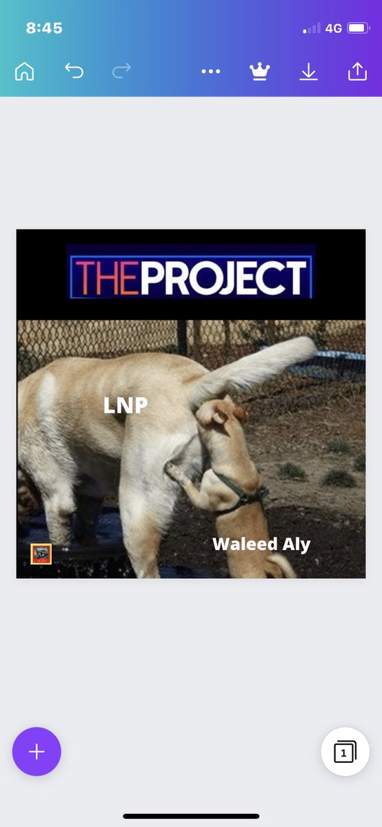 Now the #CostelloShitStains have joined forces and reporting just like the #MurdochShitStains....