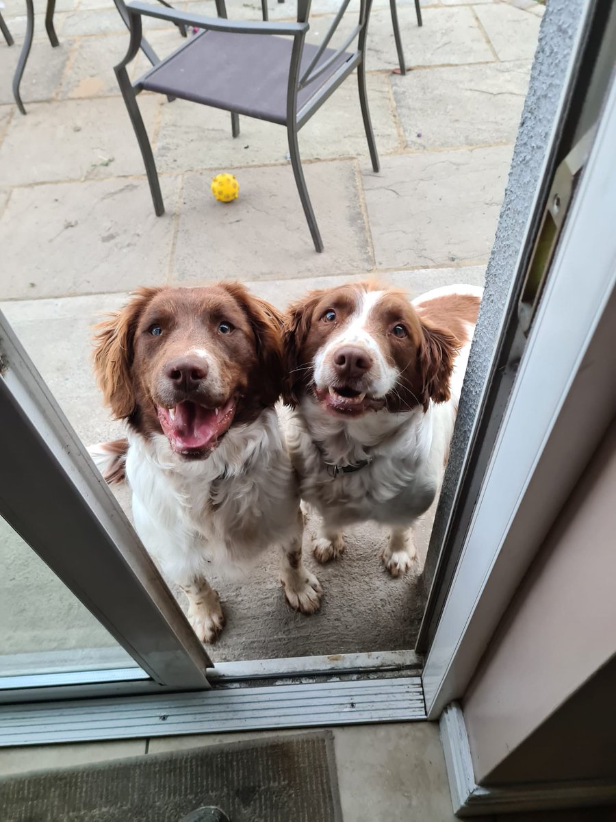 #NationalDogDay 
These two make every day better 😍