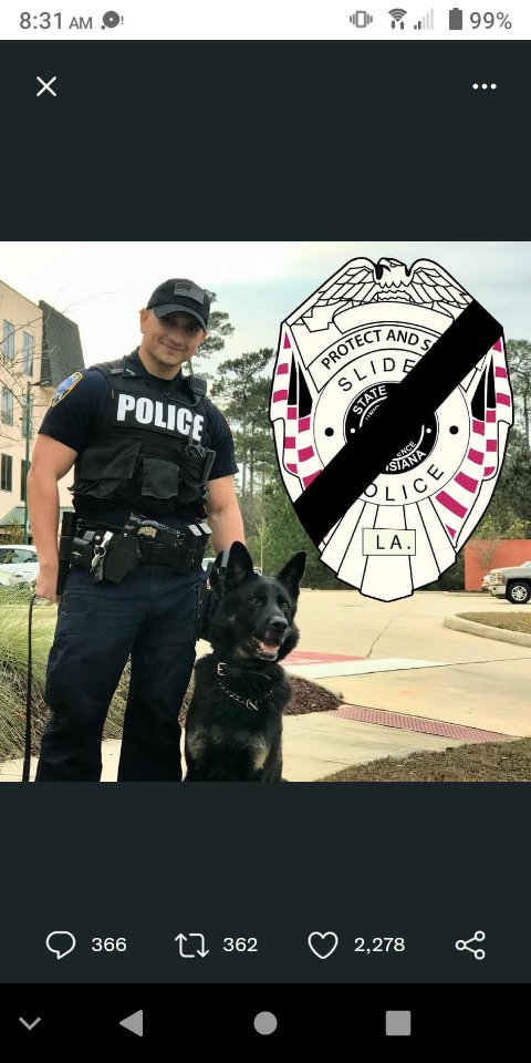 LindaDa49119957's tweet photo. @ReelzChannel 
@OfficialOPLive 
@danabrams 
@Sean_C_Larkin 
@CurtisWilson275 

OK, which one of y'all have tried the #chiaseeds yet? #OPLive #OPnation 

#GodBlessOurLEOs🙏💙🙏
#PrayForOurLEOs🙏💙🙏
#NationalDogDay🙏🐾🙏
K9LOR🙏🐾 K9KANO🙏🐾 https://t.co/SNzGTLwsxH