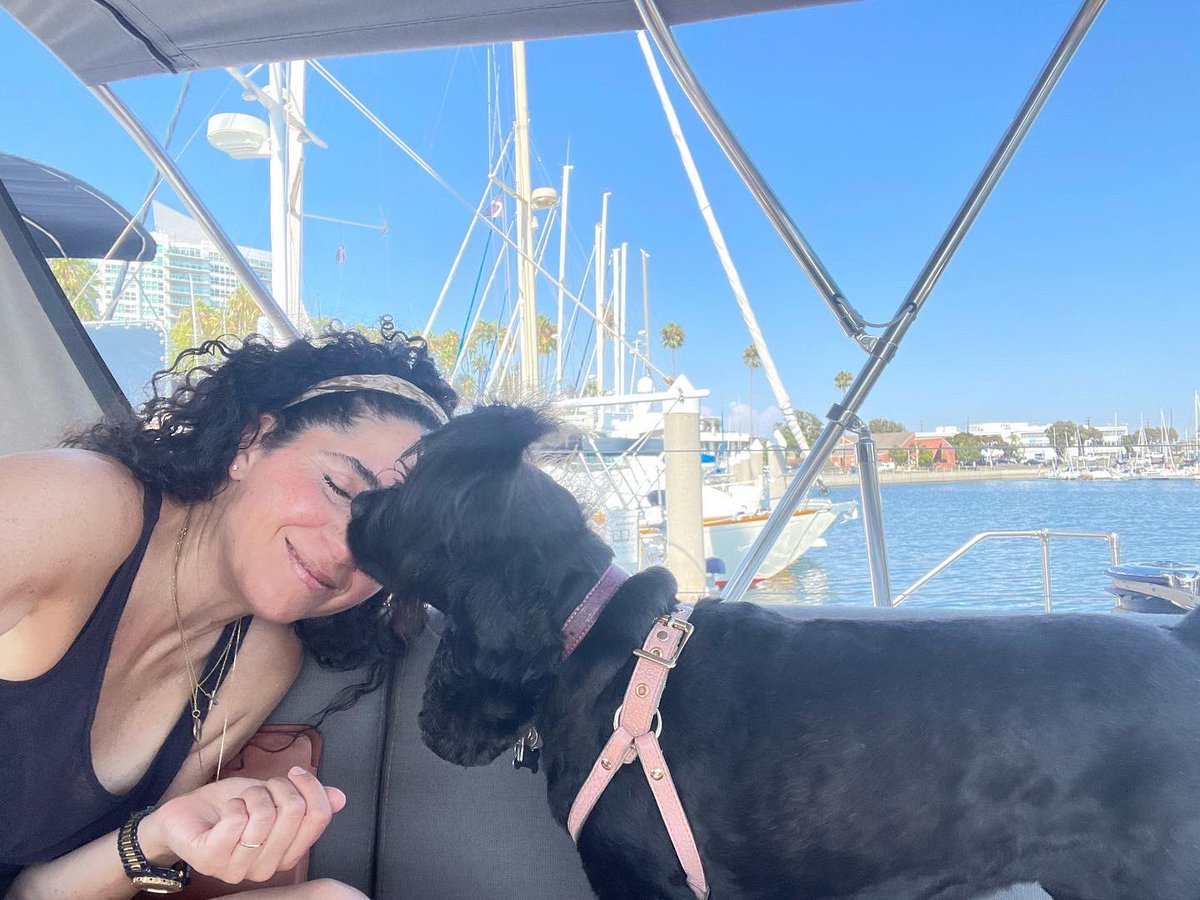 KatrinaMusic's tweet photo. My Mommy reminded me today is National Dog Day. So here she is, my little Sisi. 

#NationalDogDay 
#sisithespaniel 
#CockerSpaniel 
#FurryFriday
#Curls https://t.co/vJT1784LQZ