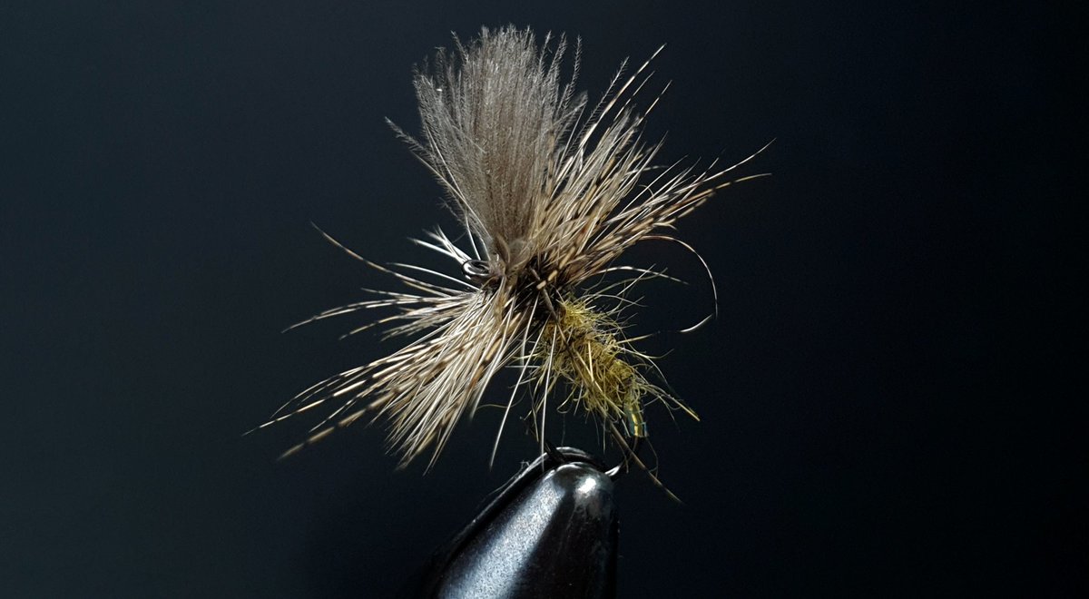 GayleMarsh14's tweet photo. My most successful dry fly this season. 😉
#flyfishing
#flytying 
#sharingflieswithastranger https://t.co/FC2ijpLTe9