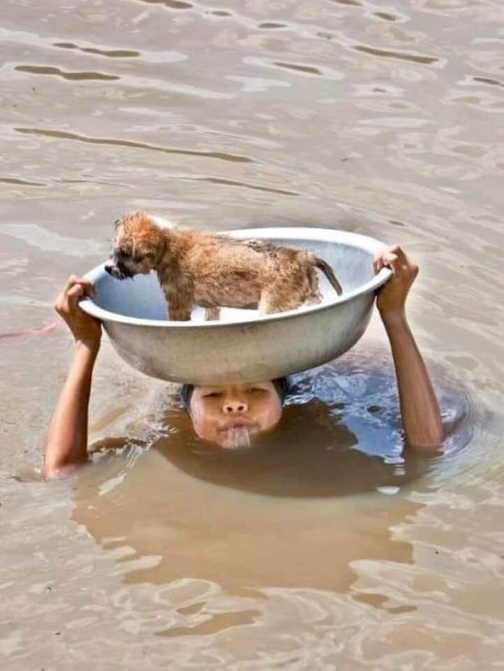 ahmedwaqas800's tweet photo. Your favourite designer dress can wait , dinner in that new fancy restaurant can wait , but this is the time for sacrifice and seflessness .  Your small donation can save lives it can feed people . Please please please donate for the flood victims .🥺🥺#FloodsInPakistan https://t.co/25heqUs6FY