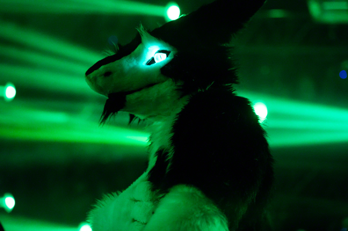 Missing this
#FursuitFriday 

📸: <a href="/Randorn/">Randorn Canis</a>