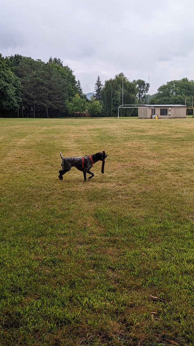 dimslife's tweet photo. @GoogleStadia Playing her favorite game https://t.co/szX18hgaZZ