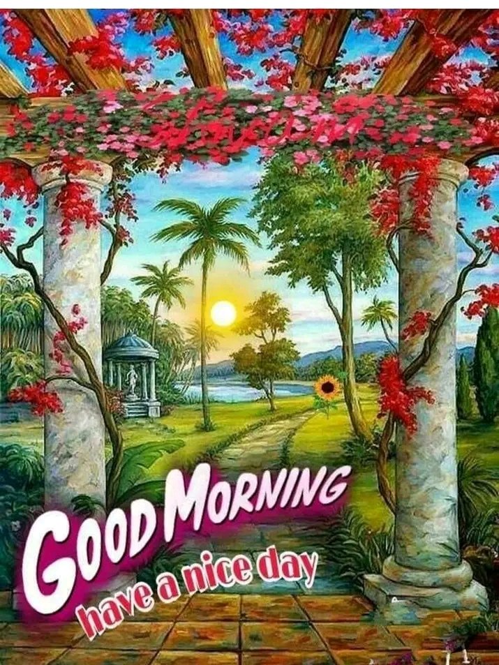 Allen einen schönen Tag ✨☀️😏