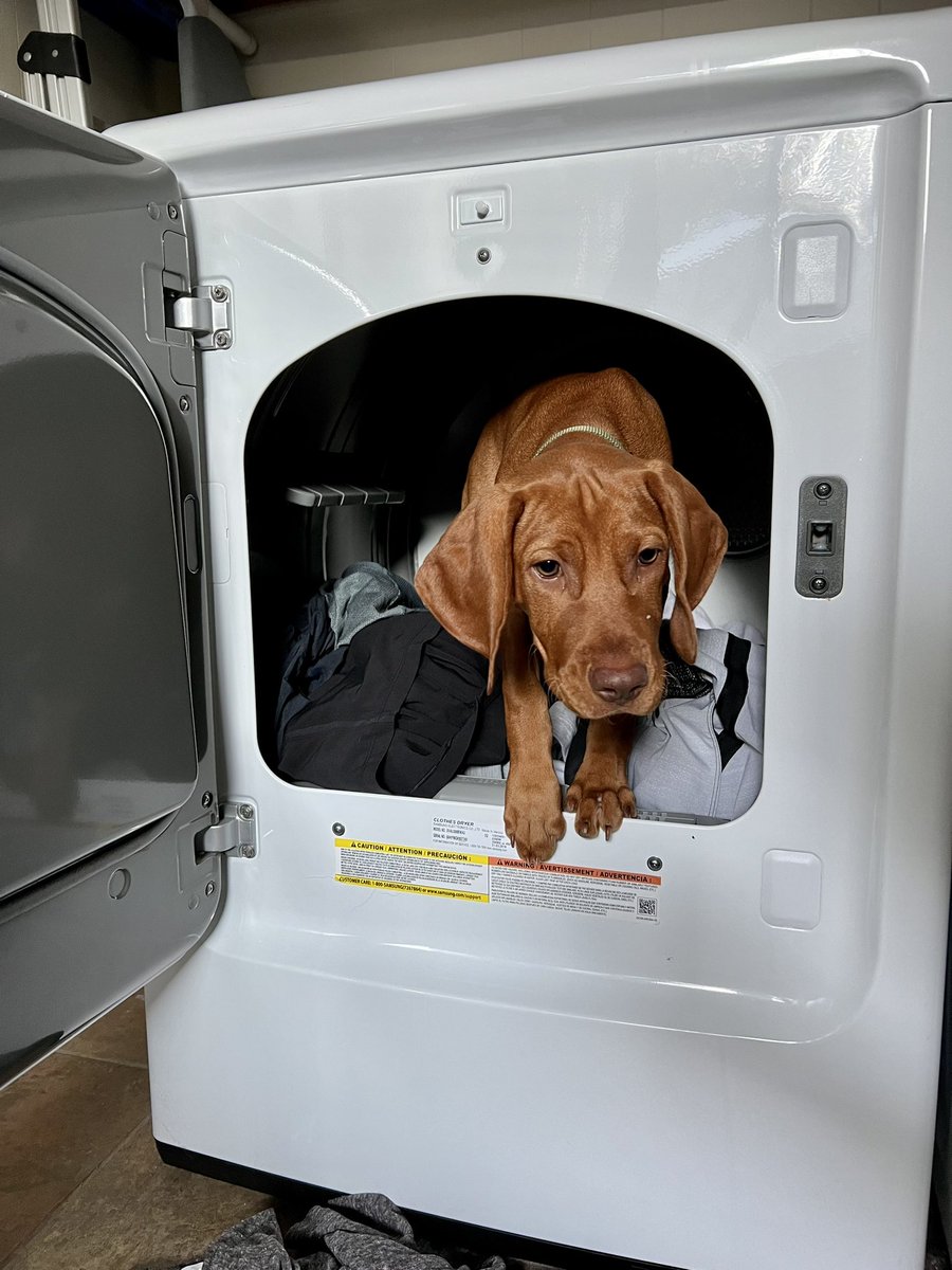 Connor O. Roe tweet media