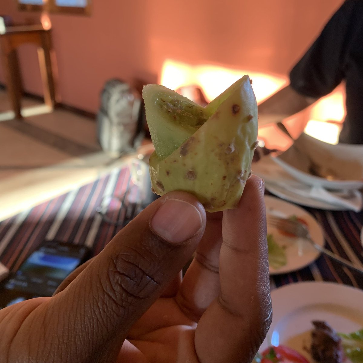magmalaya's tweet photo. Ingatkan kiwi. 

Rupanya pokok cactus punya buah. 

#ExploringMadagascar https://t.co/xxjEQuDPq6