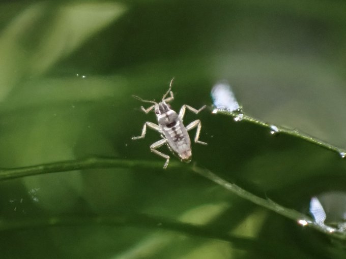 海月さん の最近のツイート 6 Whotwi グラフィカルtwitter分析