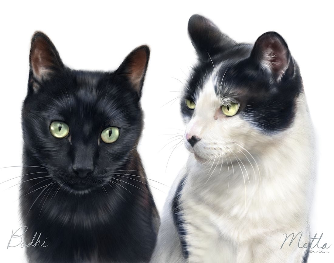 revaDraws's tweet photo. 📢Pet portrait sale! 🎉🥳
After a much needed hiatus to take care of my health, I'm happy to be resuming pet portrait commissions! 
To celebrate, I'm running a 15% off all pet portraits sale! Please see my website for pricing &amp; details: https://t.co/HwgEa3XJLY https://t.co/w8TSFJJO6D